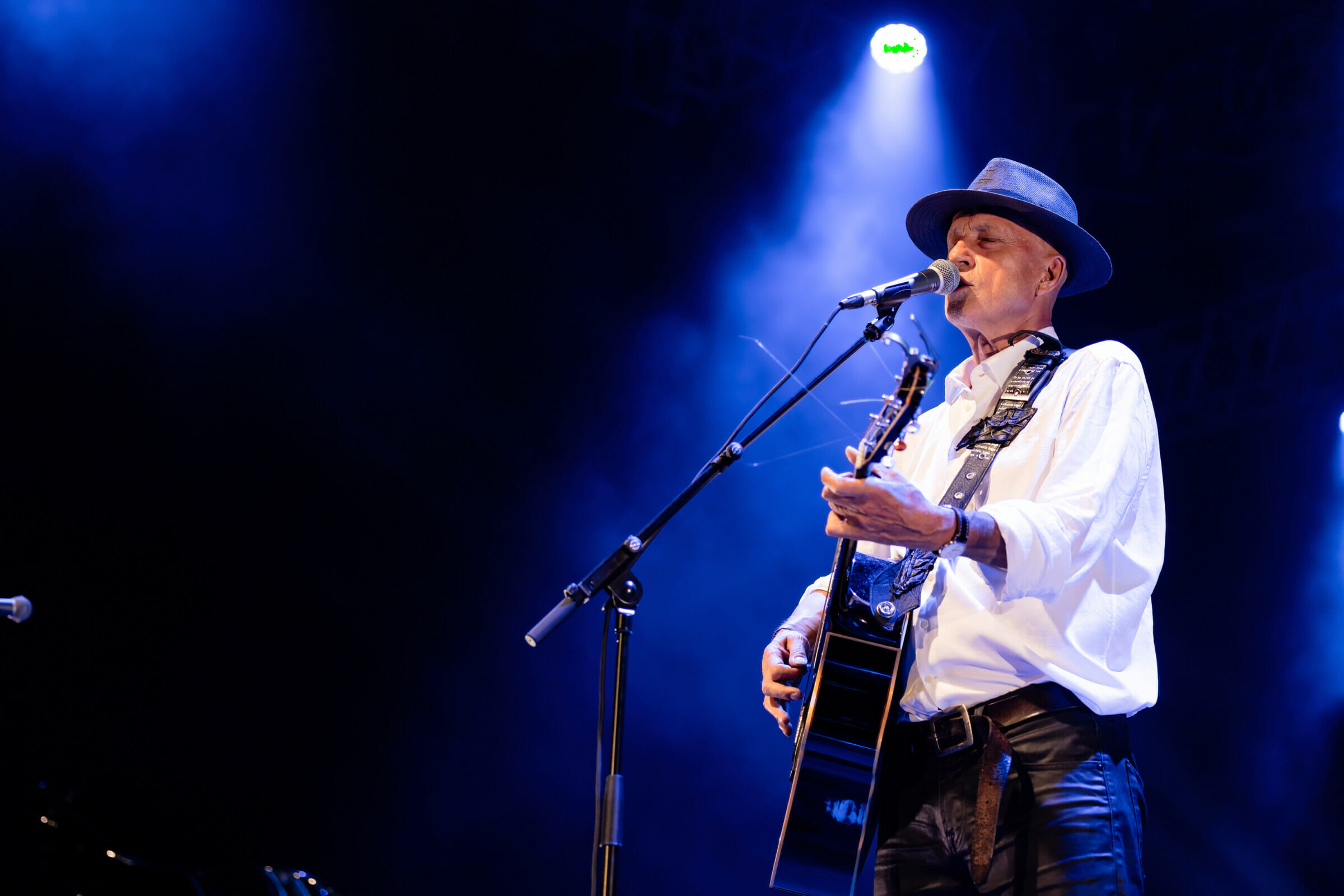 darjastravstisu_3239_vladokreslin